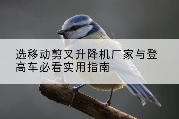 揭东电动升降机厂家-选移动剪叉升降机厂家与登高车必看实用指南