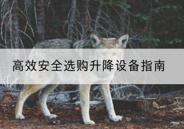 揭东升降货梯厂家推荐-*安全选购升降设备指南
