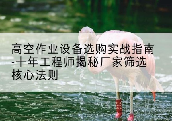 揭东剪叉式升降机厂家-高空作业设备选购实战指南-十年工程师揭秘厂家筛选核心法则
