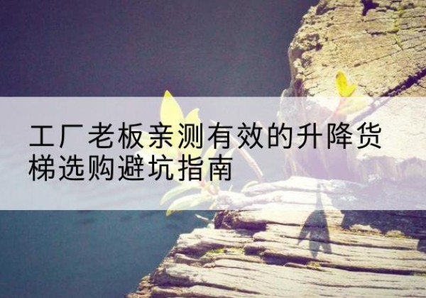揭东升降货梯怎么选-工厂老板亲测有效的升降货梯选购避坑指南